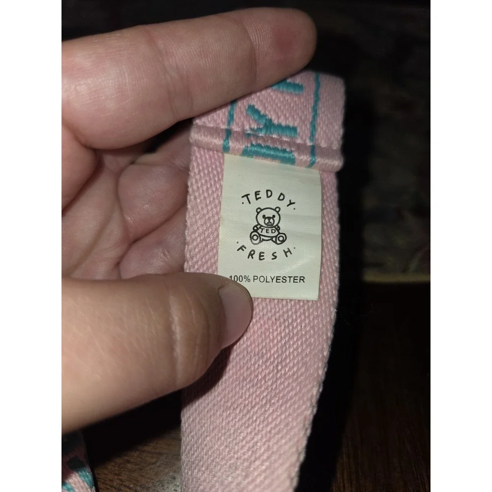 Teddy Fresh D-Ring Webbing Belt Pink Teal Embroidered Logo Streetwear